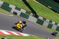 cadwell-no-limits-trackday;cadwell-park;cadwell-park-photographs;cadwell-trackday-photographs;enduro-digital-images;event-digital-images;eventdigitalimages;no-limits-trackdays;peter-wileman-photography;racing-digital-images;trackday-digital-images;trackday-photos