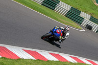 cadwell-no-limits-trackday;cadwell-park;cadwell-park-photographs;cadwell-trackday-photographs;enduro-digital-images;event-digital-images;eventdigitalimages;no-limits-trackdays;peter-wileman-photography;racing-digital-images;trackday-digital-images;trackday-photos