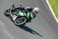 Inter Group Green Bikes