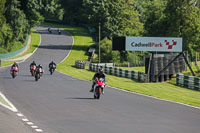 cadwell-no-limits-trackday;cadwell-park;cadwell-park-photographs;cadwell-trackday-photographs;enduro-digital-images;event-digital-images;eventdigitalimages;no-limits-trackdays;peter-wileman-photography;racing-digital-images;trackday-digital-images;trackday-photos