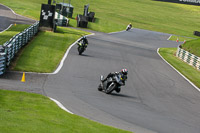 Inter Group Silver/Grey Bikes
