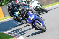 Novice Group Blue Bikes