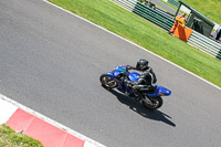 Novice Group Blue Bikes