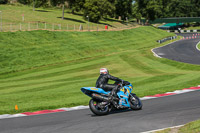 Novice Group Blue Bikes