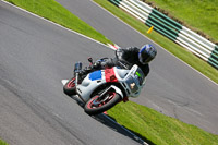 cadwell-no-limits-trackday;cadwell-park;cadwell-park-photographs;cadwell-trackday-photographs;enduro-digital-images;event-digital-images;eventdigitalimages;no-limits-trackdays;peter-wileman-photography;racing-digital-images;trackday-digital-images;trackday-photos