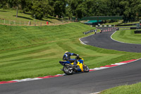 cadwell-no-limits-trackday;cadwell-park;cadwell-park-photographs;cadwell-trackday-photographs;enduro-digital-images;event-digital-images;eventdigitalimages;no-limits-trackdays;peter-wileman-photography;racing-digital-images;trackday-digital-images;trackday-photos