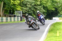 cadwell-no-limits-trackday;cadwell-park;cadwell-park-photographs;cadwell-trackday-photographs;enduro-digital-images;event-digital-images;eventdigitalimages;no-limits-trackdays;peter-wileman-photography;racing-digital-images;trackday-digital-images;trackday-photos