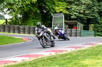 cadwell-no-limits-trackday;cadwell-park;cadwell-park-photographs;cadwell-trackday-photographs;enduro-digital-images;event-digital-images;eventdigitalimages;no-limits-trackdays;peter-wileman-photography;racing-digital-images;trackday-digital-images;trackday-photos