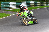 cadwell-no-limits-trackday;cadwell-park;cadwell-park-photographs;cadwell-trackday-photographs;enduro-digital-images;event-digital-images;eventdigitalimages;no-limits-trackdays;peter-wileman-photography;racing-digital-images;trackday-digital-images;trackday-photos