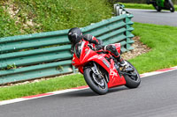 cadwell-no-limits-trackday;cadwell-park;cadwell-park-photographs;cadwell-trackday-photographs;enduro-digital-images;event-digital-images;eventdigitalimages;no-limits-trackdays;peter-wileman-photography;racing-digital-images;trackday-digital-images;trackday-photos