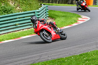 cadwell-no-limits-trackday;cadwell-park;cadwell-park-photographs;cadwell-trackday-photographs;enduro-digital-images;event-digital-images;eventdigitalimages;no-limits-trackdays;peter-wileman-photography;racing-digital-images;trackday-digital-images;trackday-photos