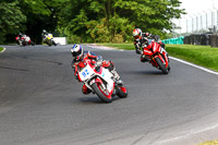 cadwell-no-limits-trackday;cadwell-park;cadwell-park-photographs;cadwell-trackday-photographs;enduro-digital-images;event-digital-images;eventdigitalimages;no-limits-trackdays;peter-wileman-photography;racing-digital-images;trackday-digital-images;trackday-photos