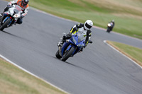 Inter Group 2 Blue Bikes