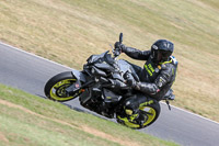 Novice Black Bikes