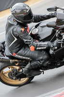 brands-hatch-photographs;brands-no-limits-trackday;cadwell-trackday-photographs;enduro-digital-images;event-digital-images;eventdigitalimages;no-limits-trackdays;peter-wileman-photography;racing-digital-images;trackday-digital-images;trackday-photos
