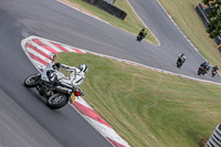 Novice White Bikes