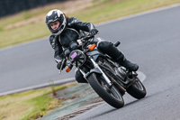 Novice Black Bikes