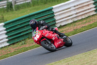 Novice Red Bikes