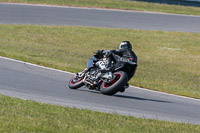 Fast Group Black Bikes