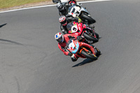 enduro-digital-images;event-digital-images;eventdigitalimages;no-limits-trackdays;peter-wileman-photography;racing-digital-images;snetterton;snetterton-no-limits-trackday;snetterton-photographs;snetterton-trackday-photographs;trackday-digital-images;trackday-photos