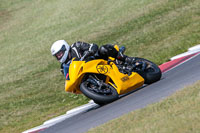 Fast Group Yellow Bikes