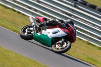 Inter Group Multicolour Bikes