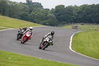 Fast Silver/Grey Bikes