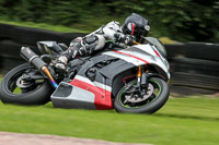 Fast Silver/Grey Bikes