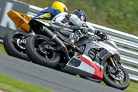 Fast Silver/Grey Bikes