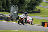 Inter Multicolour Bikes