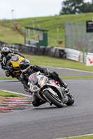 Inter Multicolour Bikes