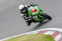 Novice Green Bikes