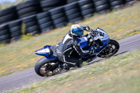 anglesey-no-limits-trackday;anglesey-photographs;anglesey-trackday-photographs;enduro-digital-images;event-digital-images;eventdigitalimages;no-limits-trackdays;peter-wileman-photography;racing-digital-images;trac-mon;trackday-digital-images;trackday-photos;ty-croes