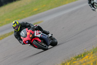 Fast Multicolour Bikes