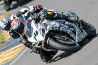 Fast Silver/Grey Bikes