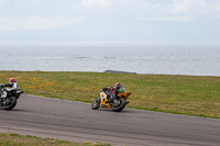 anglesey-no-limits-trackday;anglesey-photographs;anglesey-trackday-photographs;enduro-digital-images;event-digital-images;eventdigitalimages;no-limits-trackdays;peter-wileman-photography;racing-digital-images;trac-mon;trackday-digital-images;trackday-photos;ty-croes