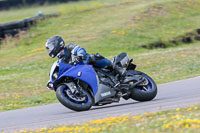 Inter Blue Bikes