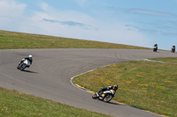 anglesey-no-limits-trackday;anglesey-photographs;anglesey-trackday-photographs;enduro-digital-images;event-digital-images;eventdigitalimages;no-limits-trackdays;peter-wileman-photography;racing-digital-images;trac-mon;trackday-digital-images;trackday-photos;ty-croes