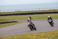 anglesey-no-limits-trackday;anglesey-photographs;anglesey-trackday-photographs;enduro-digital-images;event-digital-images;eventdigitalimages;no-limits-trackdays;peter-wileman-photography;racing-digital-images;trac-mon;trackday-digital-images;trackday-photos;ty-croes