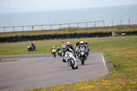 anglesey-no-limits-trackday;anglesey-photographs;anglesey-trackday-photographs;enduro-digital-images;event-digital-images;eventdigitalimages;no-limits-trackdays;peter-wileman-photography;racing-digital-images;trac-mon;trackday-digital-images;trackday-photos;ty-croes