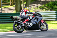 cadwell-no-limits-trackday;cadwell-park;cadwell-park-photographs;cadwell-trackday-photographs;enduro-digital-images;event-digital-images;eventdigitalimages;no-limits-trackdays;peter-wileman-photography;racing-digital-images;trackday-digital-images;trackday-photos