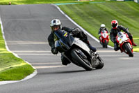 Evening Fast/Inter Black Bikes