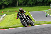 Evening Fast/Inter Black Bikes