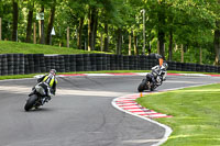 cadwell-no-limits-trackday;cadwell-park;cadwell-park-photographs;cadwell-trackday-photographs;enduro-digital-images;event-digital-images;eventdigitalimages;no-limits-trackdays;peter-wileman-photography;racing-digital-images;trackday-digital-images;trackday-photos