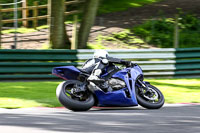 cadwell-no-limits-trackday;cadwell-park;cadwell-park-photographs;cadwell-trackday-photographs;enduro-digital-images;event-digital-images;eventdigitalimages;no-limits-trackdays;peter-wileman-photography;racing-digital-images;trackday-digital-images;trackday-photos