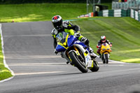 Evening Fast/Inter Blue Bikes