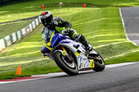 Evening Fast/Inter Blue Bikes