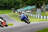 cadwell-no-limits-trackday;cadwell-park;cadwell-park-photographs;cadwell-trackday-photographs;enduro-digital-images;event-digital-images;eventdigitalimages;no-limits-trackdays;peter-wileman-photography;racing-digital-images;trackday-digital-images;trackday-photos