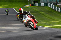 cadwell-no-limits-trackday;cadwell-park;cadwell-park-photographs;cadwell-trackday-photographs;enduro-digital-images;event-digital-images;eventdigitalimages;no-limits-trackdays;peter-wileman-photography;racing-digital-images;trackday-digital-images;trackday-photos