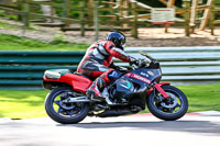 cadwell-no-limits-trackday;cadwell-park;cadwell-park-photographs;cadwell-trackday-photographs;enduro-digital-images;event-digital-images;eventdigitalimages;no-limits-trackdays;peter-wileman-photography;racing-digital-images;trackday-digital-images;trackday-photos